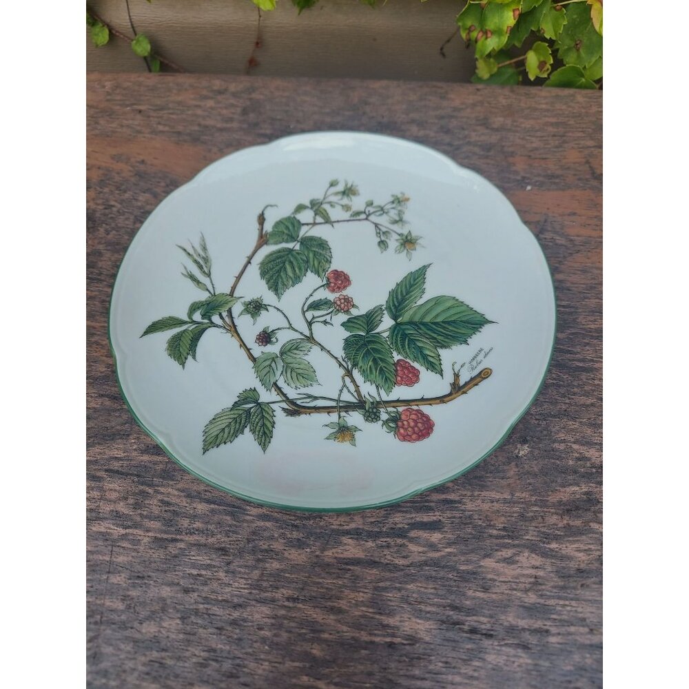 Seltmann Weiden Porcelain Waldbeere 7 1/2" Salad Plate Woodland Berries
